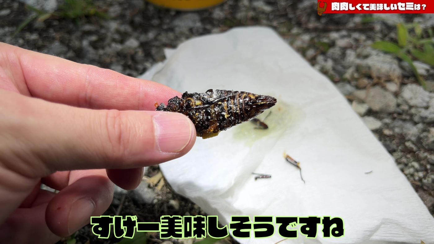 Cicadas delicious 02
