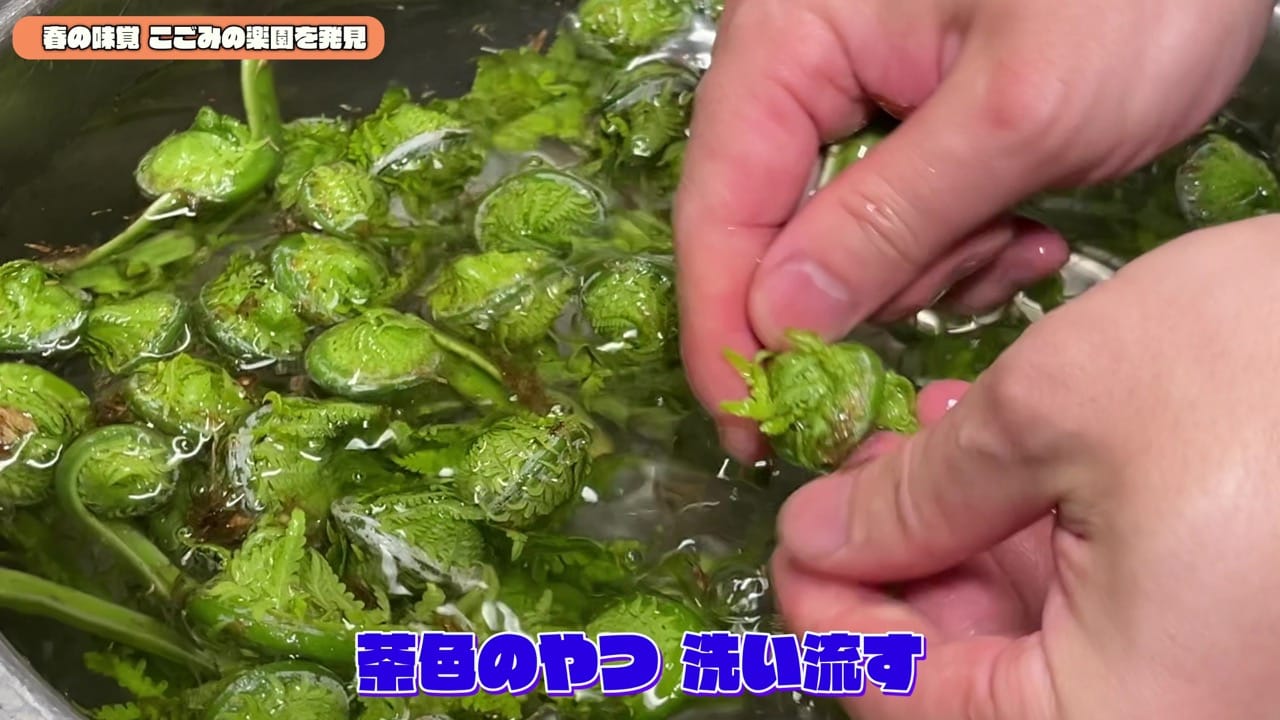 Kogomi sansai 5