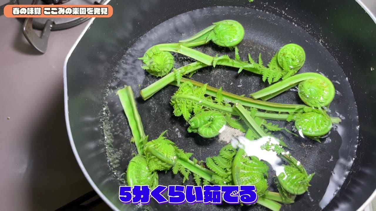 Kogomi sansai 7